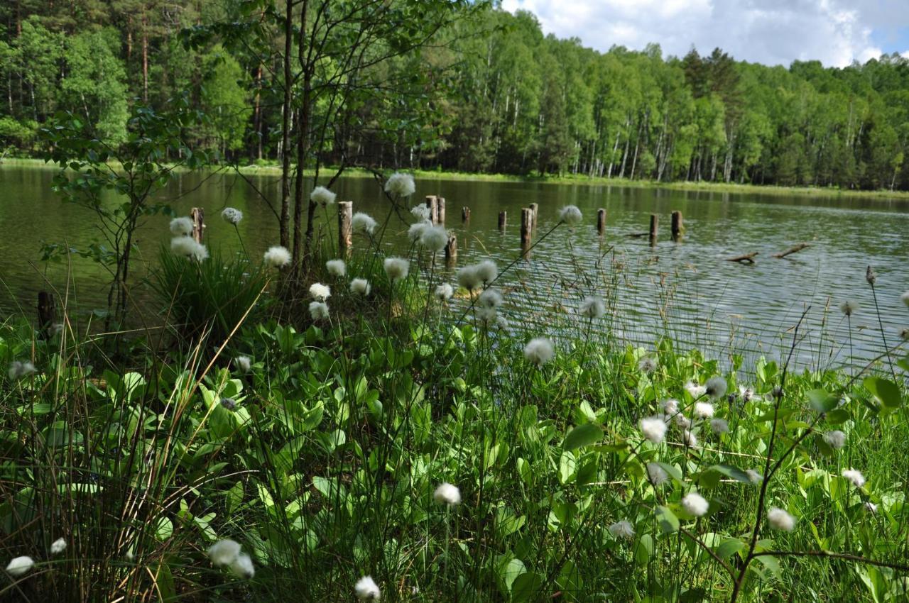Forreset - Lesny Apartament, Sauna I Balia Jacuzzi Gietrzwałd Exteriér fotografie
